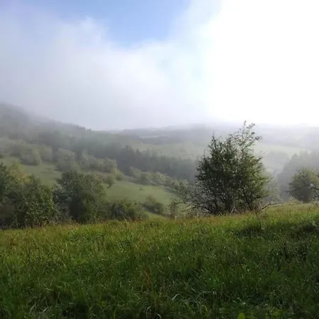 Prázdninový dům In With Forest View *